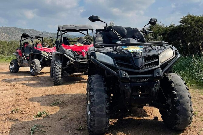 Quad or Buggy Tour from Coral Bay to Lara Bay - Starting in Peyia above Coral Bay