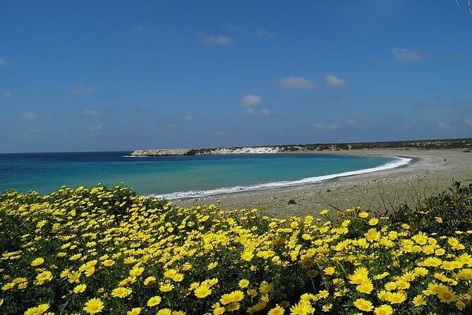 Quad or Buggy Tour from Coral Bay to Lara Bay - What driving the route is really like
