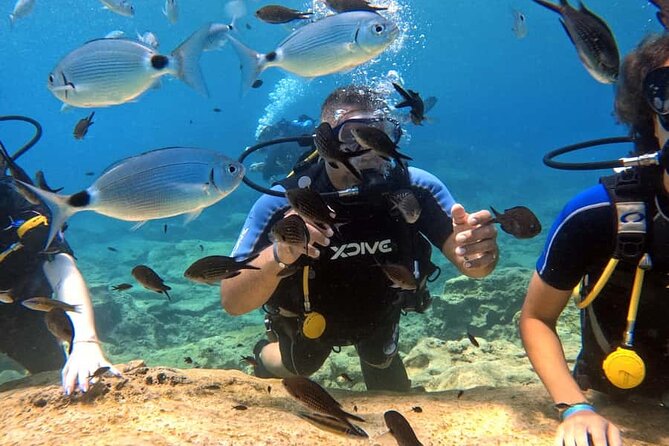Scuba Diving Adventure at Green Bay Beach - The briefing makes the first session less intimidating