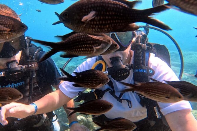 Scuba Diving Adventure at Green Bay Beach - Why the small group and personal care matter