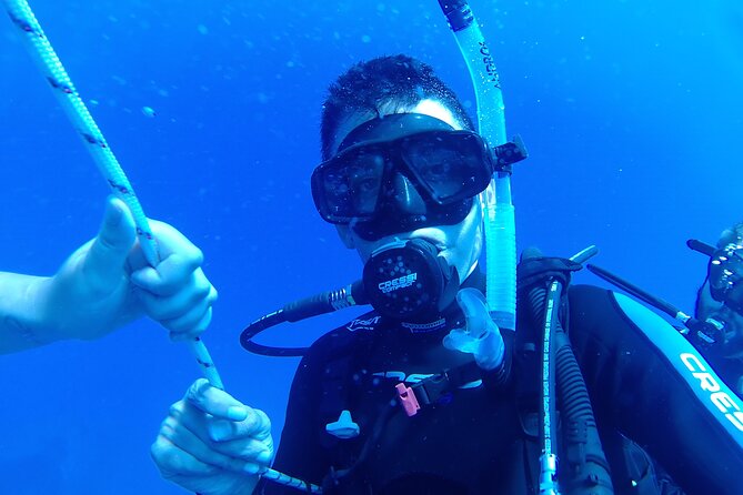 Scuba Diving Cyprus Experience Protaras and Ayia Napa & Turtles - Instruction, language, and the small-group question