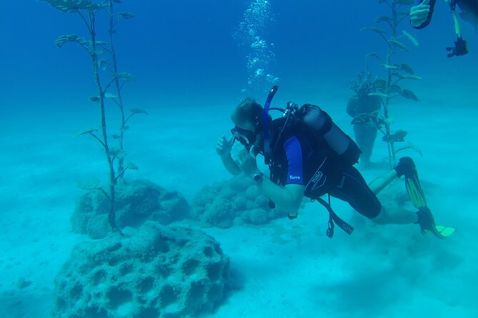 Scuba Diving Cyprus Experience Protaras and Ayia Napa & Turtles - Is $101.85 a fair price?