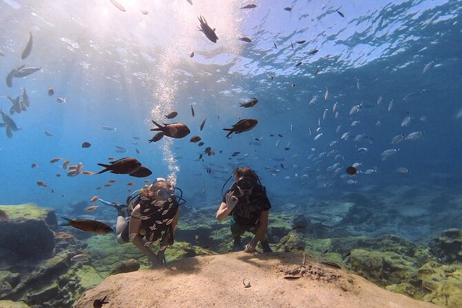Scuba Diving Experience (10+ Years) AND Free Edited Video - Timing, transport, and small practical matters