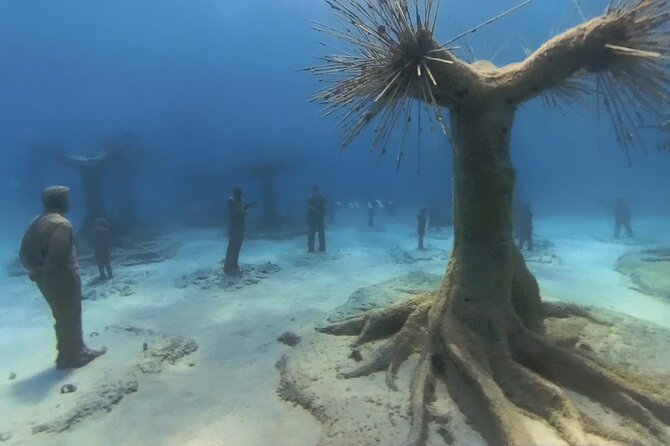 Scuba Diving Experience & MUSAN Dive + Free Edited Video 2xdives - Key points at a glance