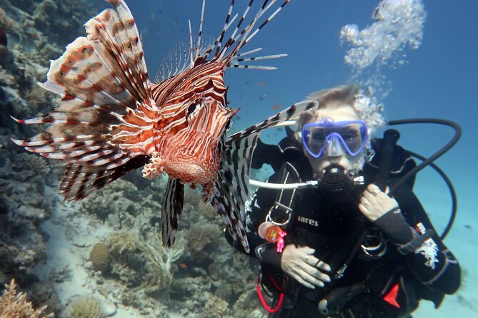 Scuba Diving Experience & MUSAN Dive + Free Edited Video 2xdives - The free edited video: a useful extra, with one condition
