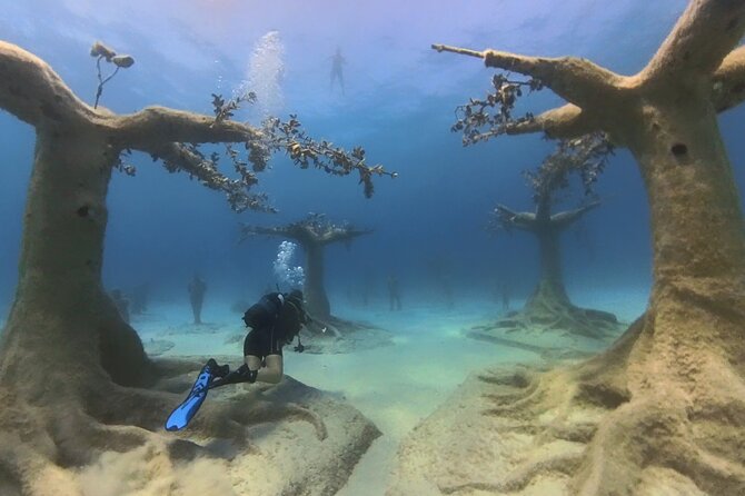 Scuba Diving Experience & MUSAN Dive + Free Edited Video 2xdives - The move to MUSAN and the second full session
