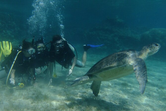 SCUBA DIVING first time experience - What the three-hour Protaras program feels like