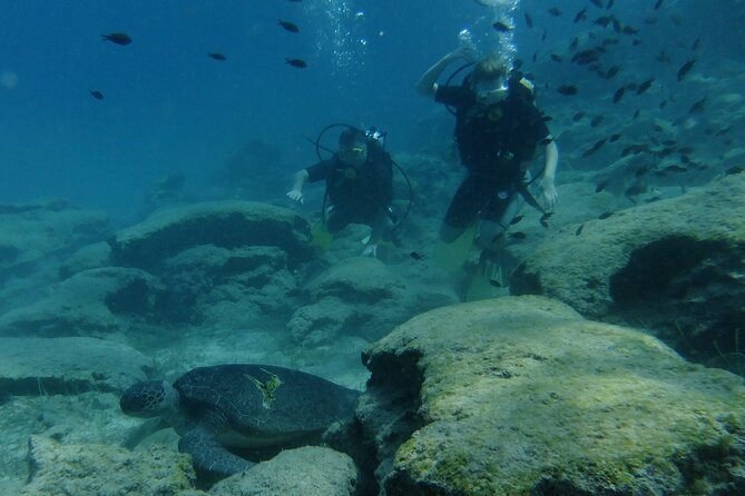 SCUBA DIVING first time experience - Part three: a gradual descent to 10 meters