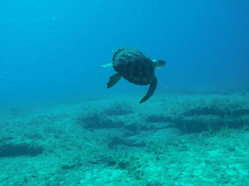 Scuba Diving - Tunnels & Caves - Cape Greco - private guided - Booking details worth checking