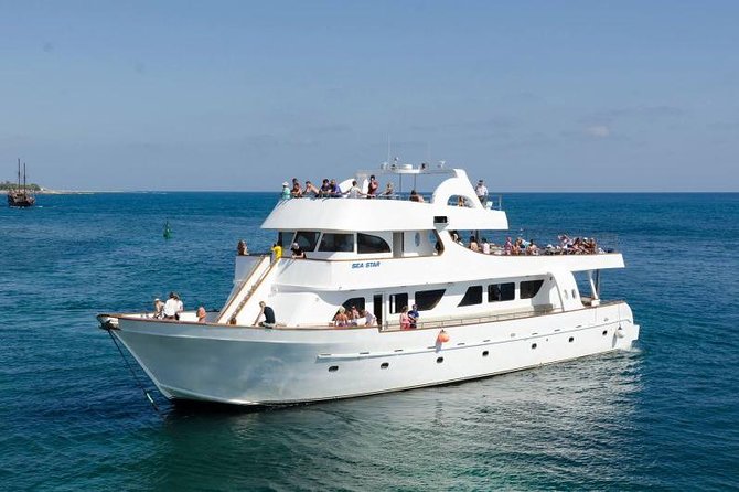 Sea Star Coral Express Cruise from Paphos - Key points to know before you book