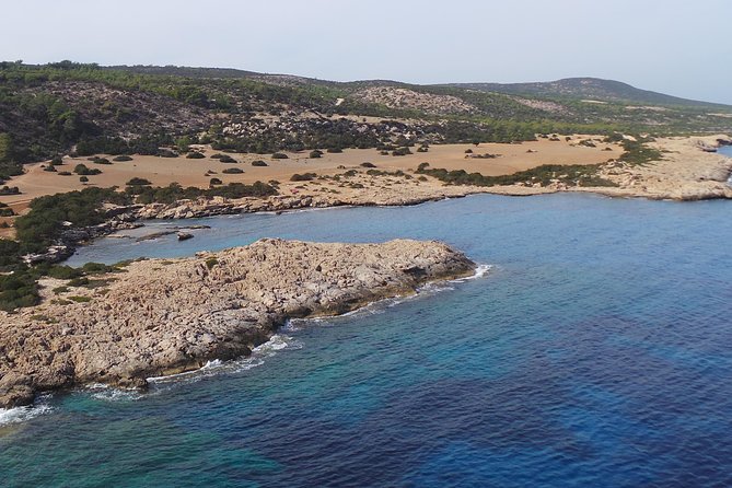 Self-drive Amathunta Private Speedboat to Blue Lagoon, Caves etc - Manolis Bay and its trumpet fish