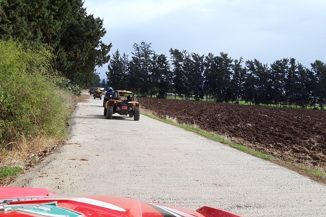 Self drive Buggy Safari at Aphrodite's Rock in Paphos - Is $78.27 good value?
