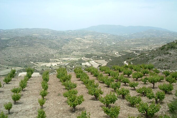 Shared Monolithos Boutique Winery Tour - Arriving at Monolithos Boutique Winery near Páchna