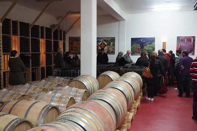Shared Monolithos Boutique Winery Tour - Who will enjoy this 75-minute tour?