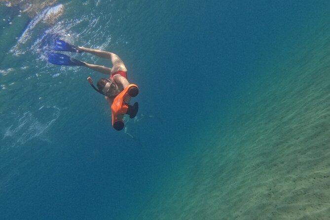 snorkeling ,Turtle Watching in Cyprus - Sea scooters and the real effort of the swim
