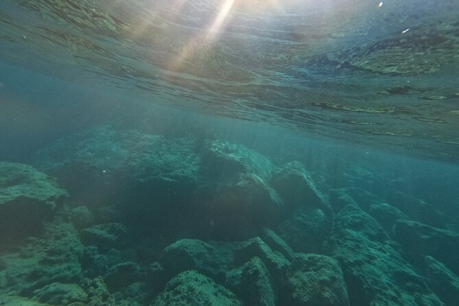 snorkeling ,Turtle Watching in Cyprus - Water temperature, wetsuits, and timing