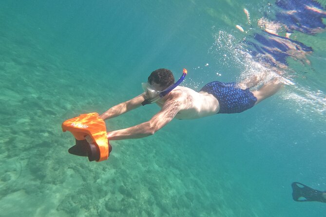 snorkeling ,Turtle Watching in Cyprus - Meeting loggerhead and green turtles