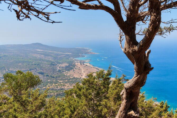 Surf and Turf Full Day Jeep & Boat Combination Tour from Limassol - Akamas Peninsula by Land Rover
