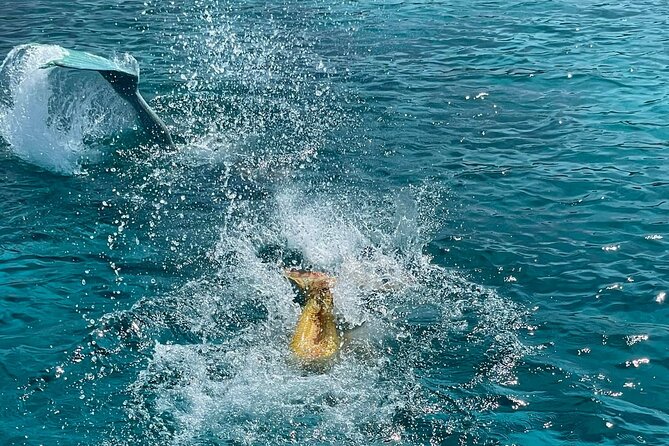 The Mermaid Cruise by Medusa Cruises – 2:30-Hour Family Adventure - Cape Greco, the protected coastal park