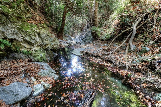 Troodos Jeep Safari from Protaras,Ayia napa & Larnaca - More than the listed stops