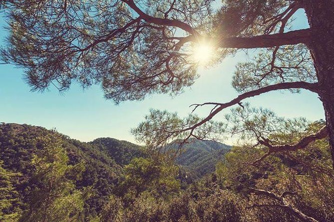 Troodos Jeep Safari from Protaras,Ayia napa & Larnaca - How much off-roading should you expect?