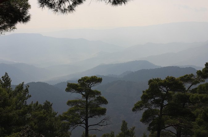 Troodos Mountains Ecotour Adventure - Through the Paphos Forest by private 4x4