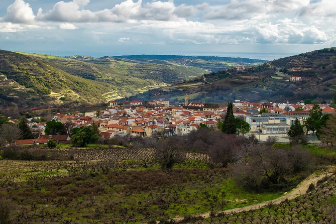 Troodos Mountains Grape Escape: All Inclusive Food & Wine Tour - Wine tasting at Ktima Christoudia or another local winery