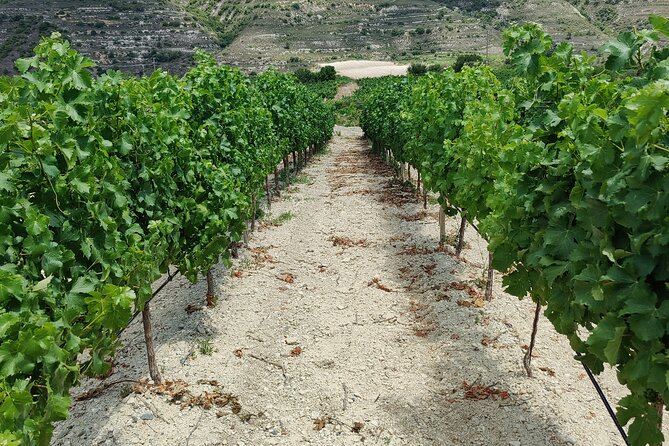 Troodos Mountains Grape Escape: All Inclusive Food & Wine Tour - A full meze lunch with drinks included