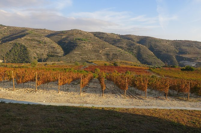 Troodos Mountains Grape Escape: All Inclusive Food & Wine Tour - Who will enjoy this tour most