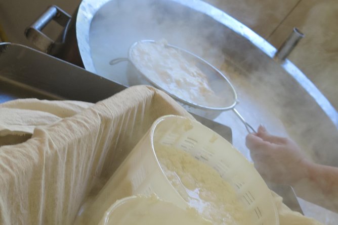 Troodos Mountains Halloumi Making: All Inclusive Workshop & Tour - What the $142.41 price really covers