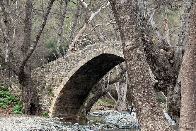 Troodos Mountains Jeep Tour with Wine Tasting - Key points to know before booking