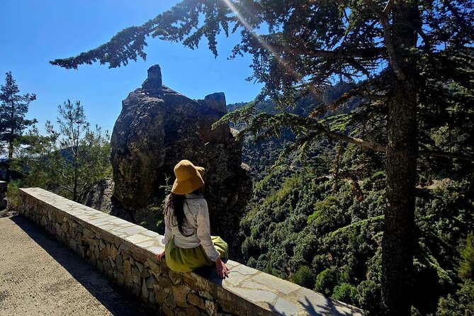 Troodos Mountains, Kykkos and Omodos Bus Tour from Paphos - The mountain roads are part of the experience