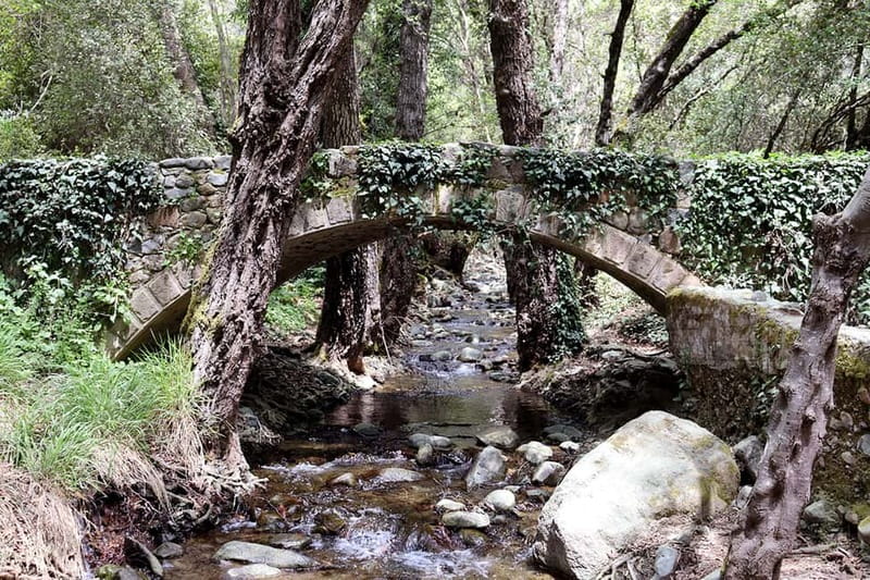 Troodos Mountains : private tour including a wine tasting - The Milia Medieval Bridge near Pera Pedi
