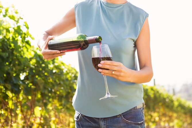 Troodos Mountains Vino Venture: All Inclusive Full Day Wine Tour - Key points to know before booking