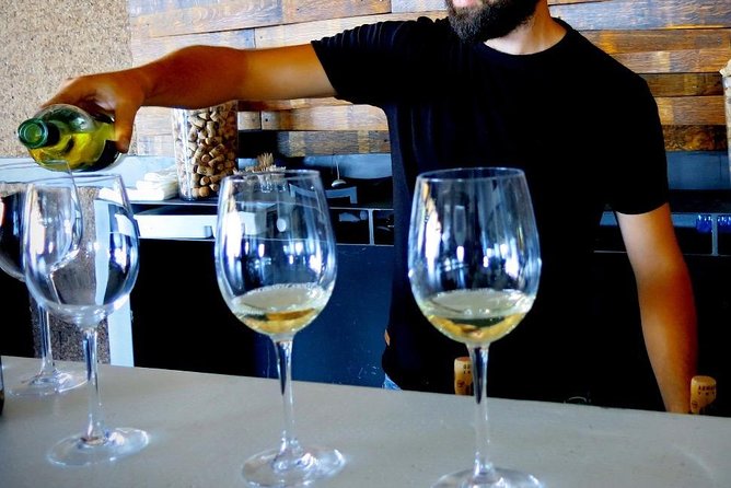 Troodos Mountains Vino Venture: All Inclusive Full Day Wine Tour - The small-group format makes a real difference
