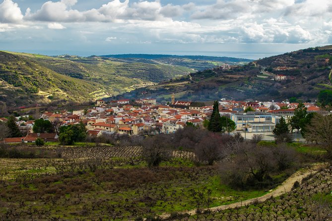 Troodos Mountains Vino Venture: All Inclusive Full Day Wine Tour - What the $142.41 price really covers