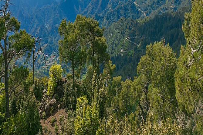 Troodos Peaks & Mountain Flavors Day Tour from Paphos - Omodos ends the route with village life