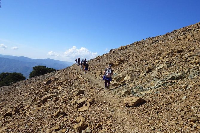 Troodos Walking Trip (Artemis+/Myllomeris Waterfalls) - Key points before you book