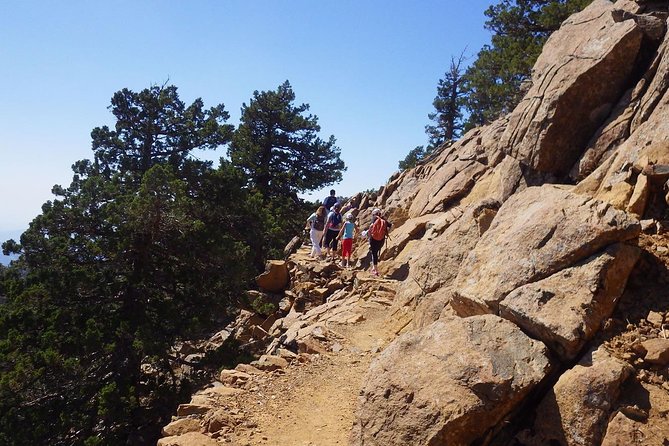Troodos Walking Trip (Artemis+/Myllomeris Waterfalls) - Myllomeris Waterfall: a shaded valley walk