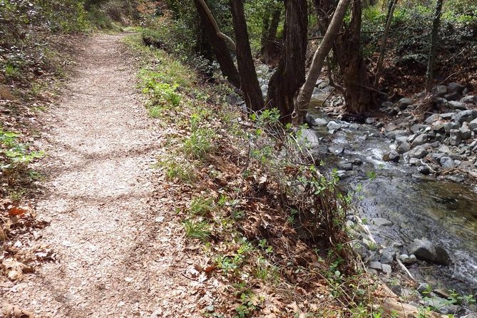Troodos Walking Trip (Artemis+/Myllomeris Waterfalls) - What to bring for a comfortable day