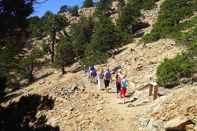 Troodos Walking Trip (Artemis+/Myllomeris Waterfalls) - Artemis Nature Trail: open views at Mount Olympus