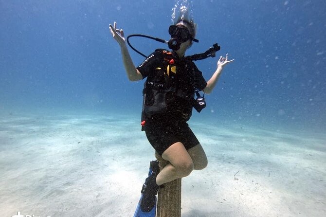 Try a Scuba Diving Experience - What you may see beneath Green Bay