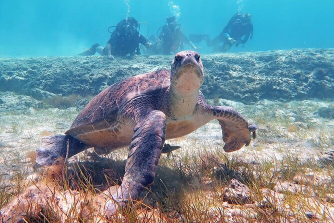 Try a Scuba Diving Experience - The instructors are the heart of the experience