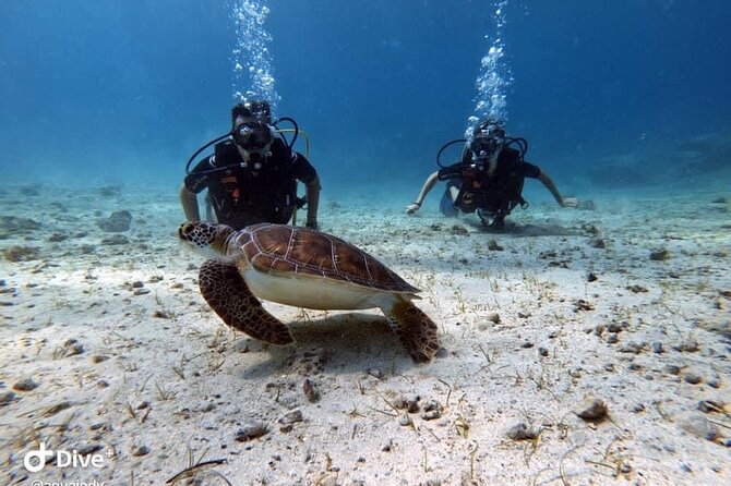 Try a Scuba Diving Experience - Equipment, safety, and the pace of the session