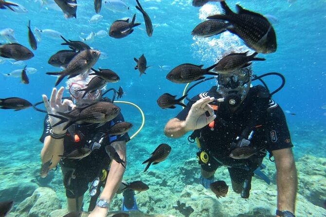 Try a Scuba Diving Experience - Pickup, timing, and practical planning