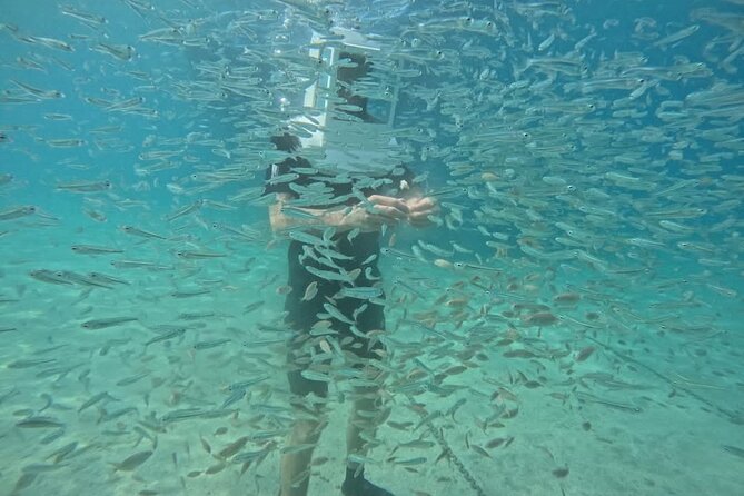 Undersea Helmets - Key things to know before booking