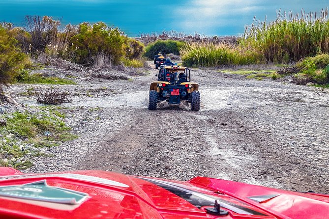 Village & Mountain Buggy Safari in Paphos - Vehicles, safety, and comfort