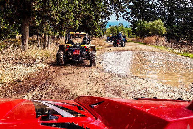 Village & Mountain Buggy Safari in Paphos - Starting at Poseidonos Avenue