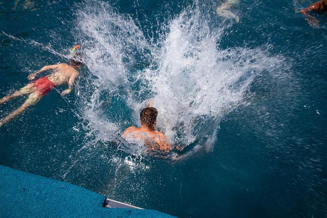 Wave Dancer Sunshine Full Day Cruise - All Inclusive - Sea Caves and the view from offshore