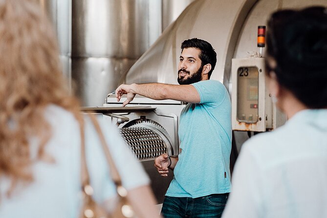 Wine tasting and winery tour at Fikardos Winery - Who will enjoy this winery visit?